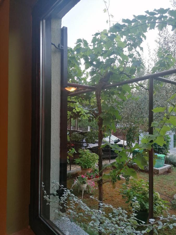 Apartment Oliva プーラ エクステリア 写真