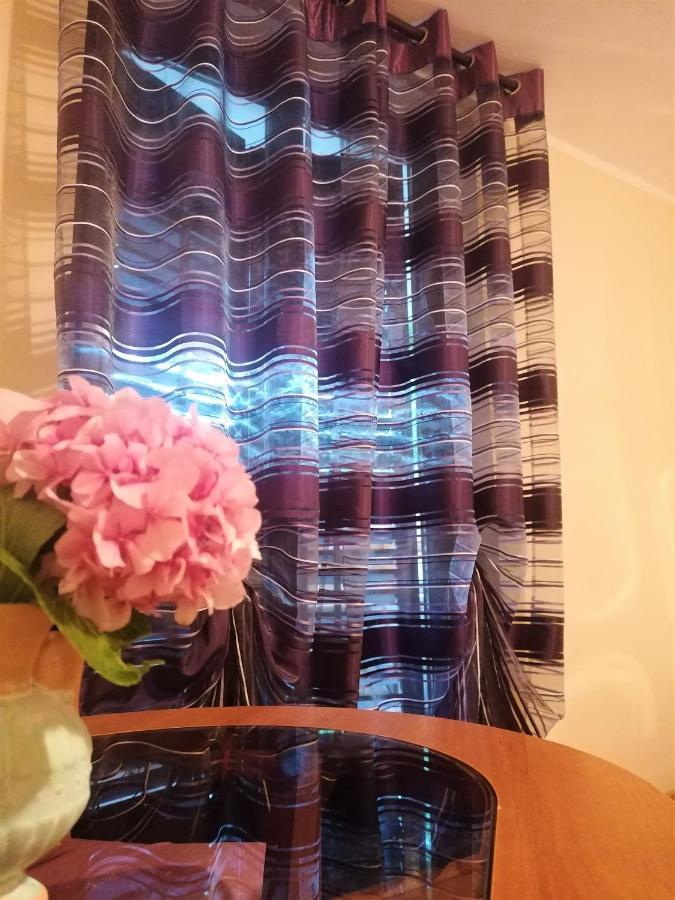 Apartment Oliva プーラ エクステリア 写真